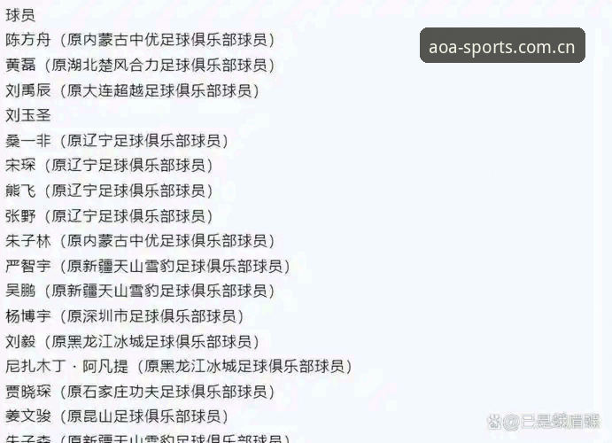 资深用户分享：从足协重磅罚单看AOA体育注册使用技巧与赛事纯净度